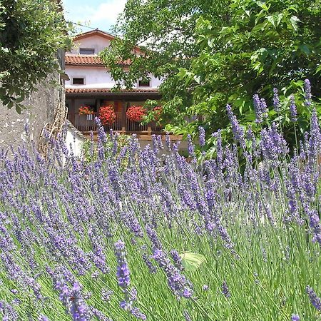 Pliskovica Youth Hostel 외부 사진
