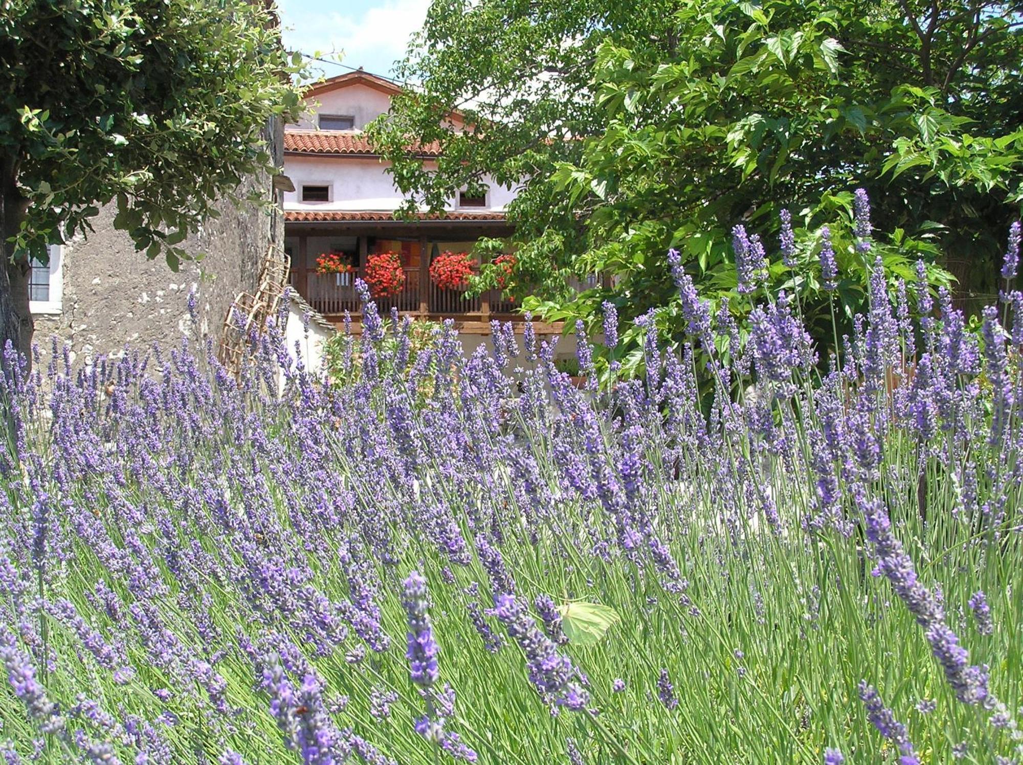 Pliskovica Youth Hostel 외부 사진